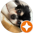 さっくん(さっくん) profile picture